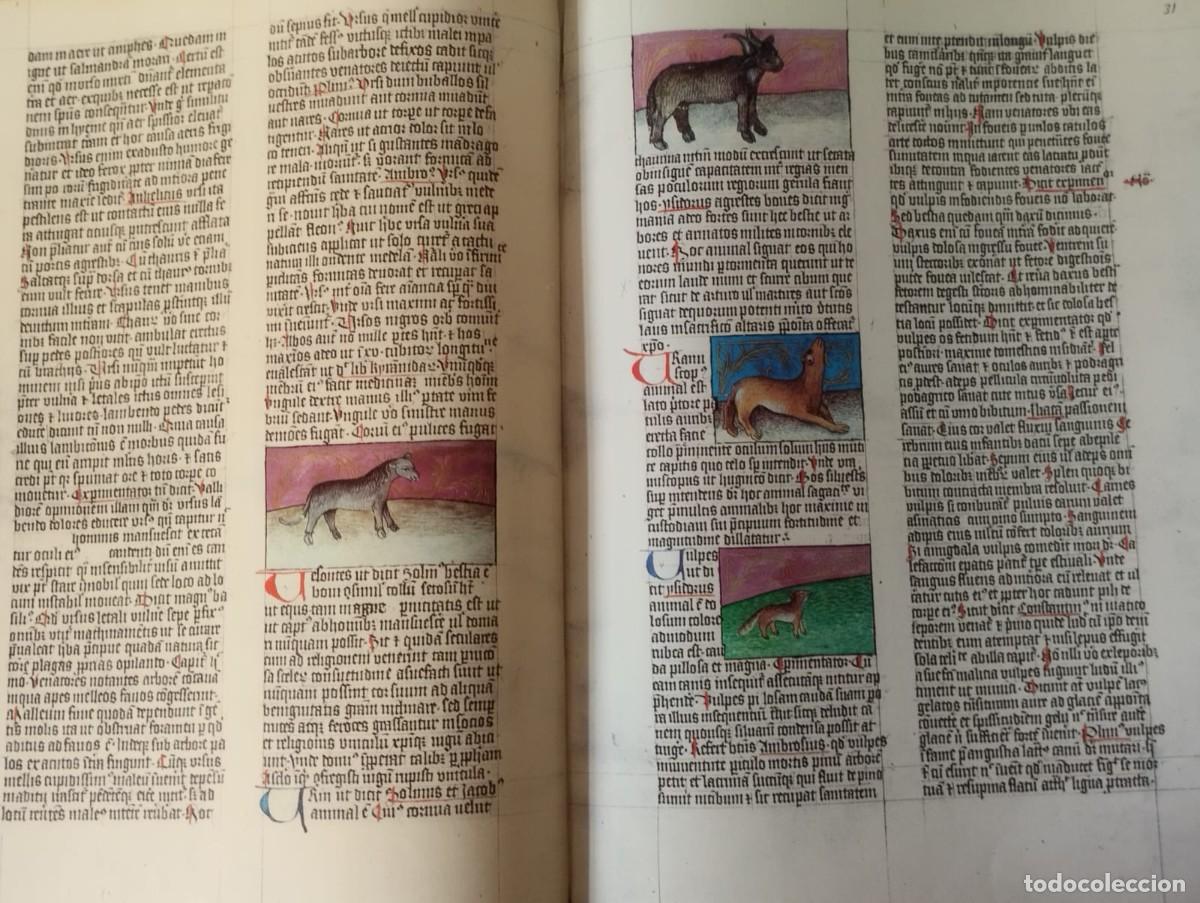 Libros antiguos: DE NATURA RERUM. TAQUINUM SANITATIS - Foto 2