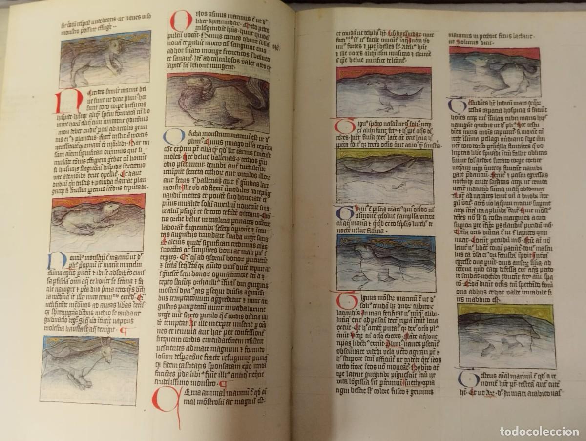 Libros antiguos: DE NATURA RERUM. TAQUINUM SANITATIS - Foto 3