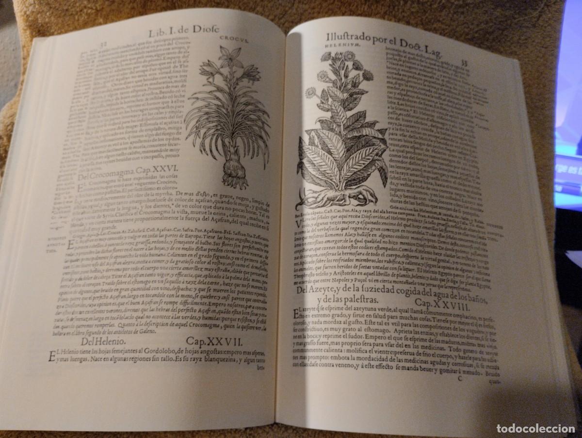 Libros antiguos: PEDACIO DIOSCORIDES ANAZARBEO - Foto 2
