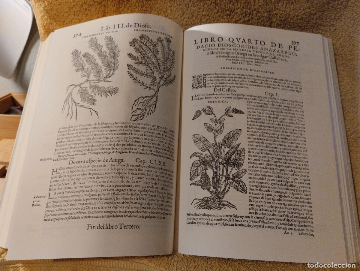 Libros antiguos: PEDACIO DIOSCORIDES ANAZARBEO - Foto 3