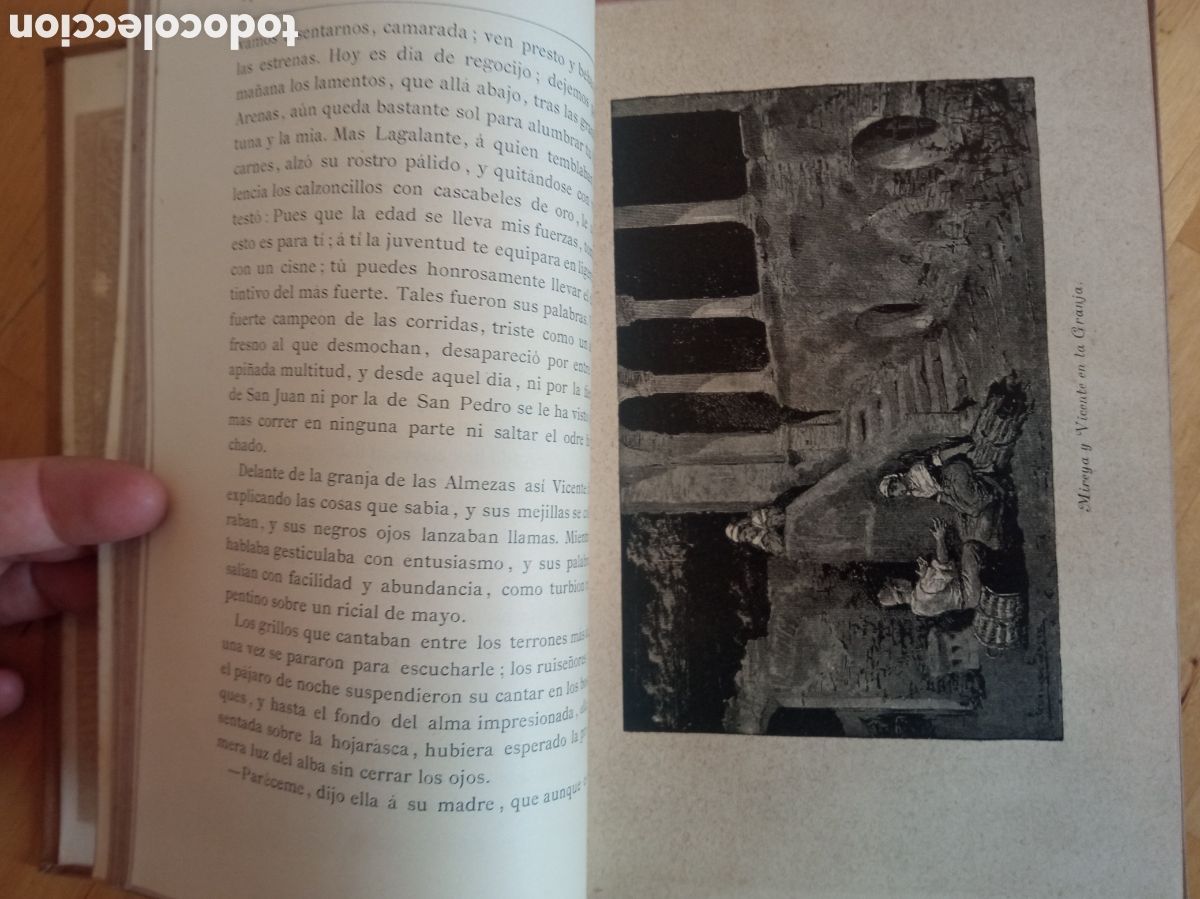 Libros antiguos: Mireya - Frederic Mistral ARTE Y LETRAS 1882 - Foto 5