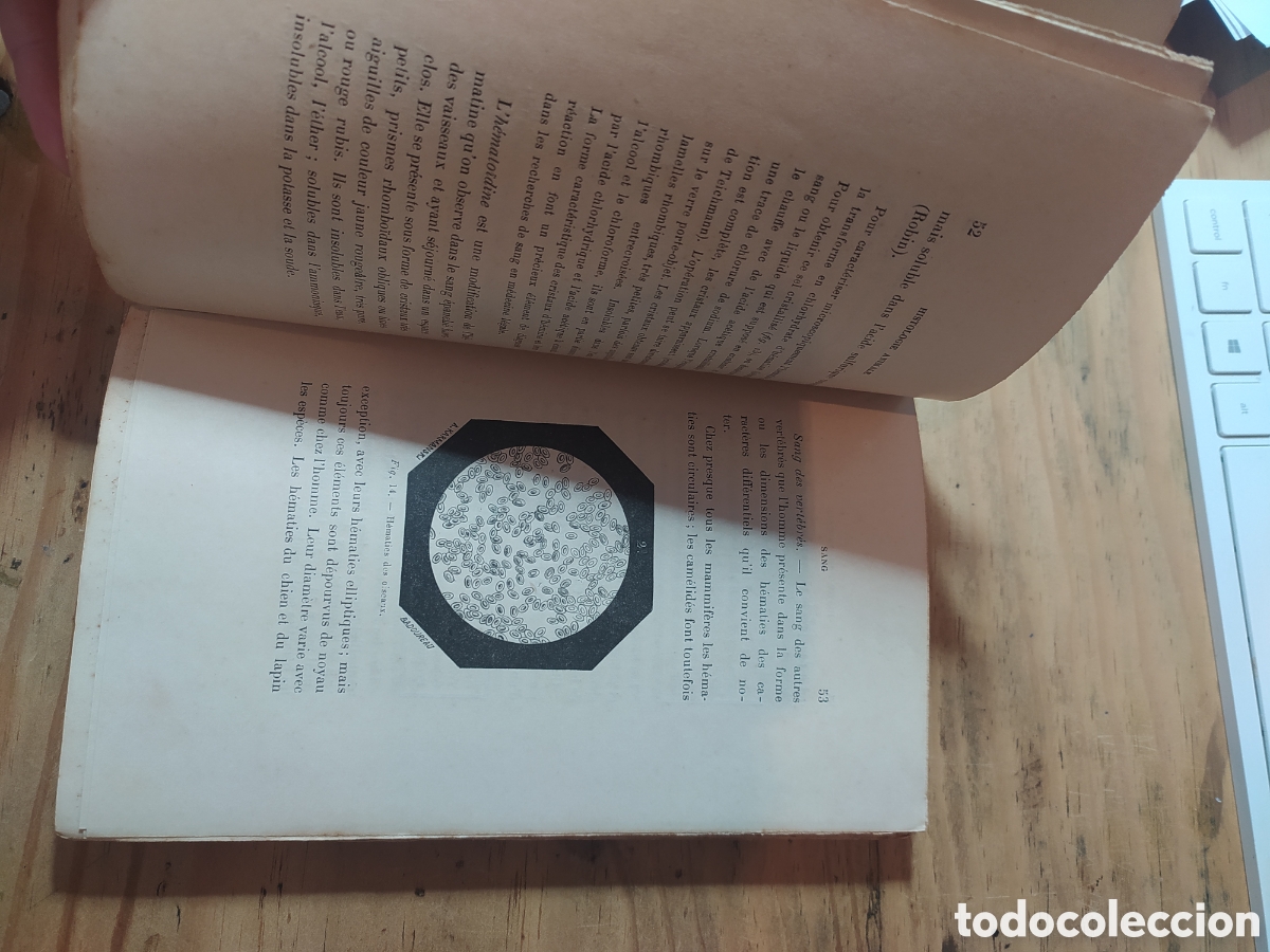 Libros antiguos: Le Microscope et ses Applications 1893. Dr. H. Beauregard. MIcroscopio - Foto 4