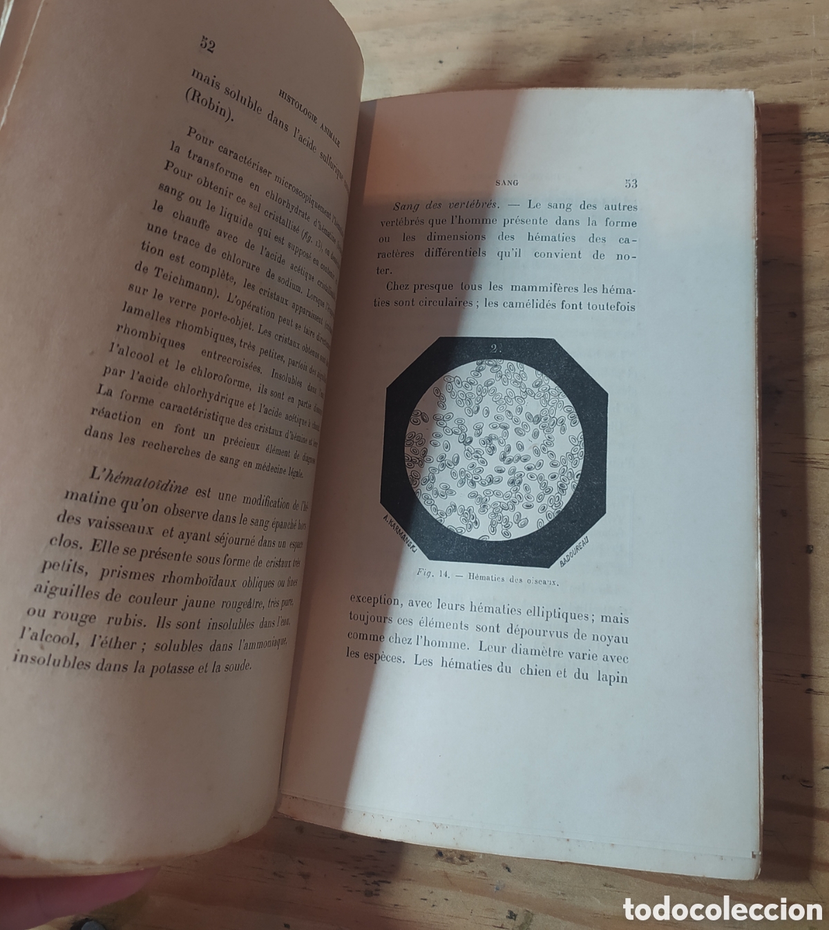 Libros antiguos: Le Microscope et ses Applications 1893. Dr. H. Beauregard. MIcroscopio - Foto 5