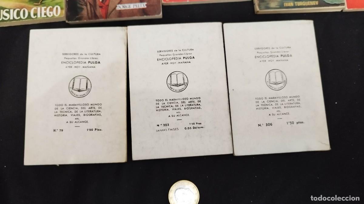Libros antiguos: 134 libritos Enciclopedia Pulga - Foto 7