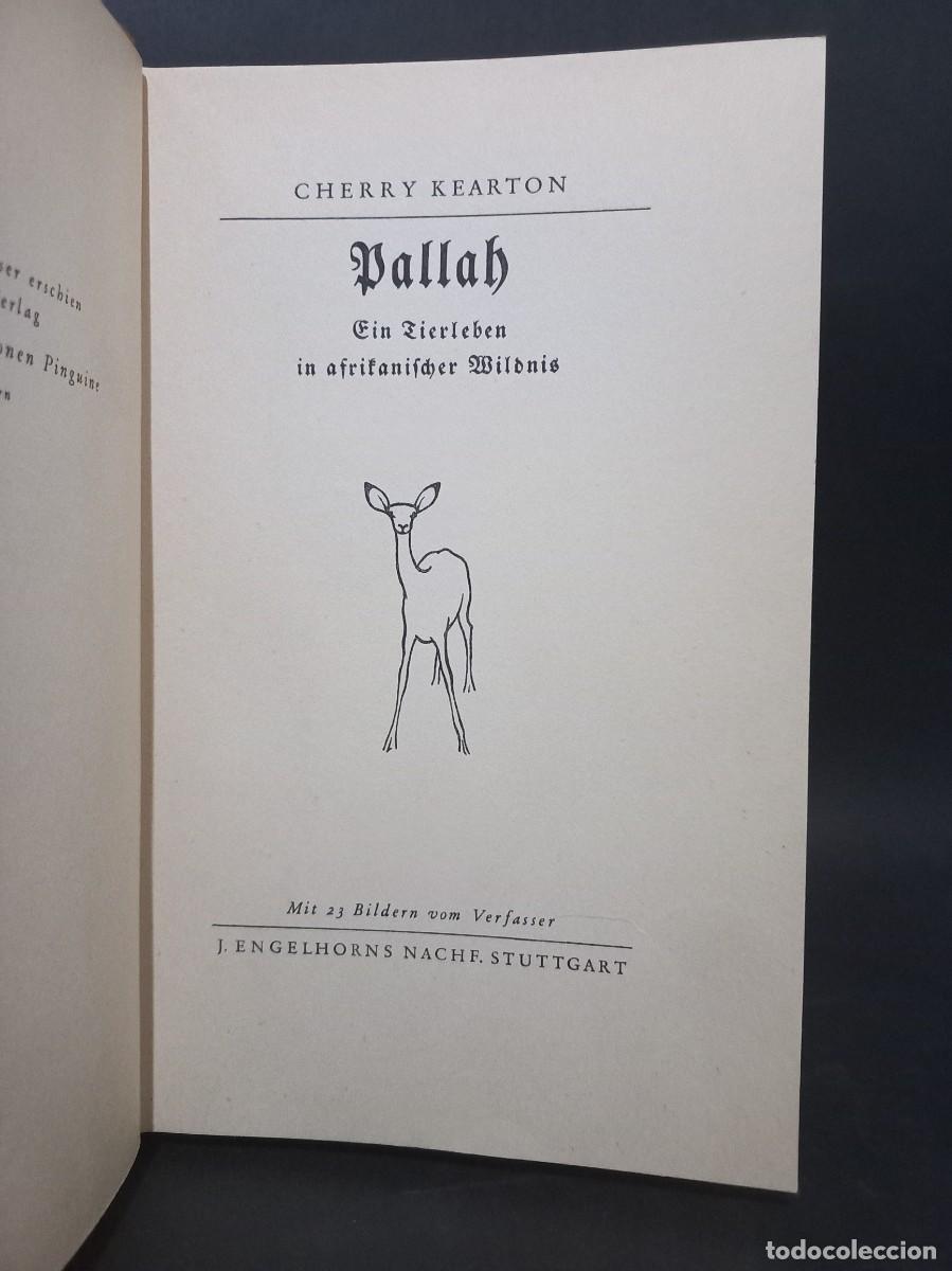 Libros antiguos: CHERRY KEARTON - DALLAH - EDITORIAL J. ENGELHORNS - 1932 - Foto 2