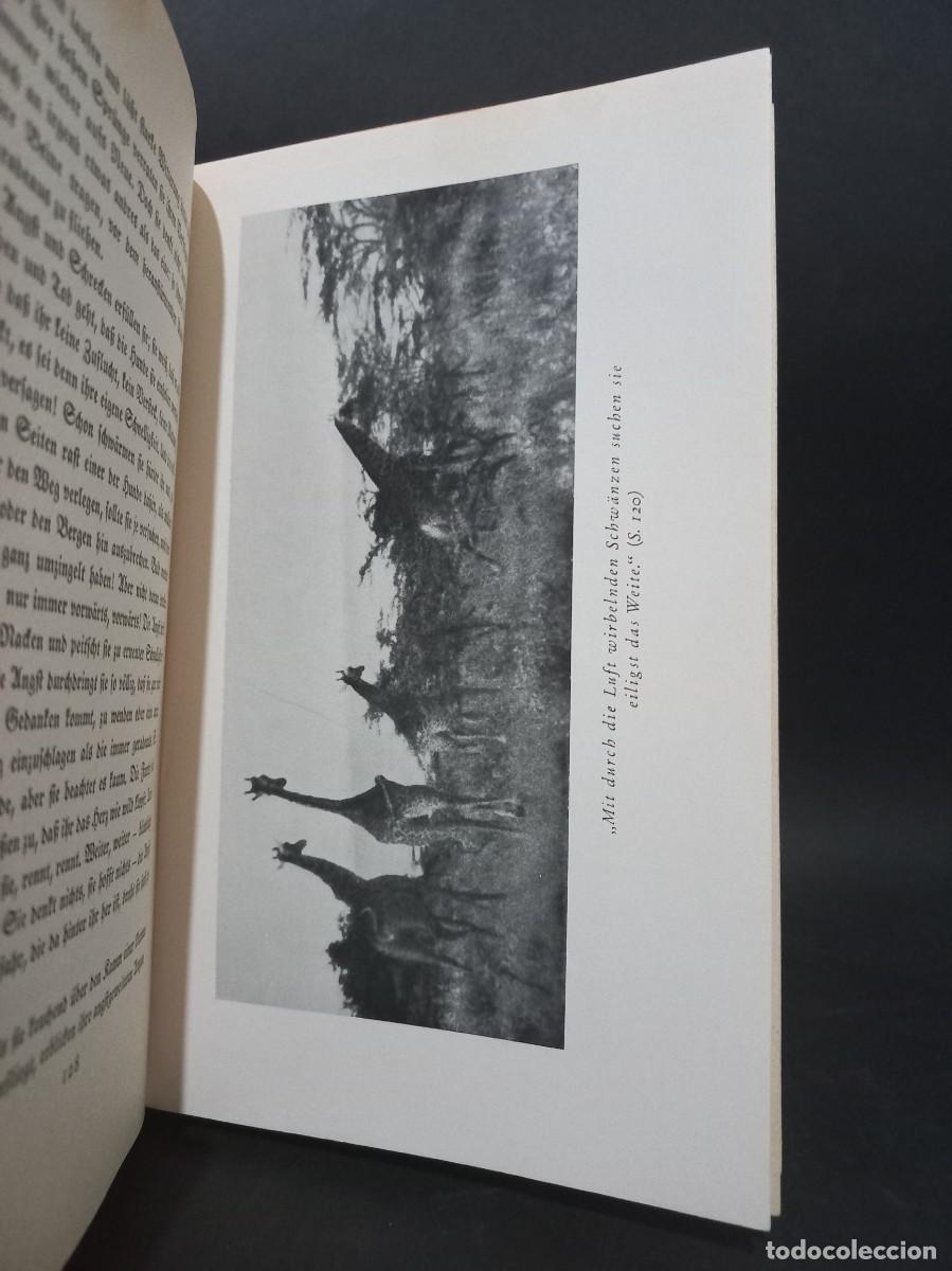 Libros antiguos: CHERRY KEARTON - DALLAH - EDITORIAL J. ENGELHORNS - 1932 - Foto 3