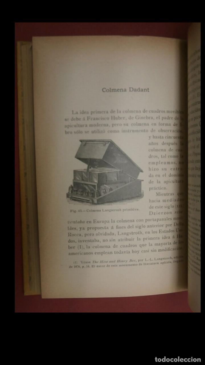 Libros antiguos: Cuidados del Colmenar. Calendario del apicultor. E. Bertand. - Foto 4