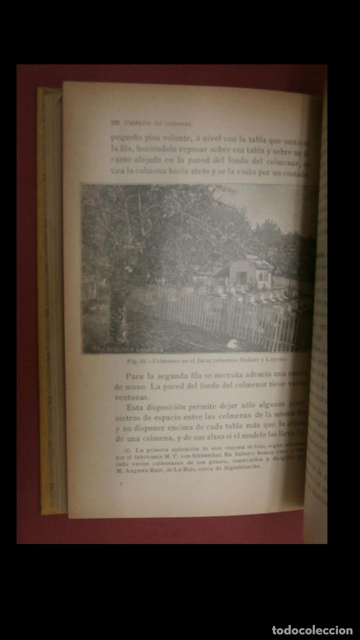 Libros antiguos: Cuidados del Colmenar. Calendario del apicultor. E. Bertand. - Foto 5
