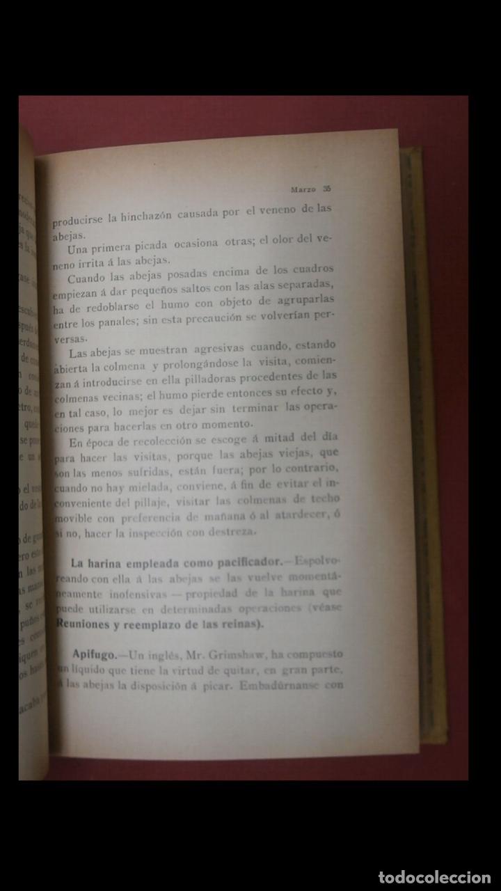 Libros antiguos: Cuidados del Colmenar. Calendario del apicultor. E. Bertand. - Foto 6