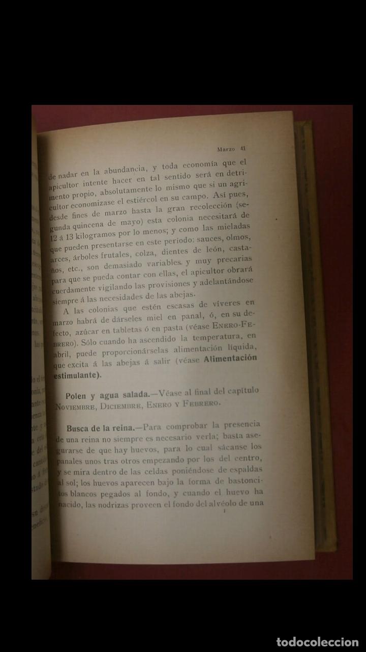 Libros antiguos: Cuidados del Colmenar. Calendario del apicultor. E. Bertand. - Foto 7
