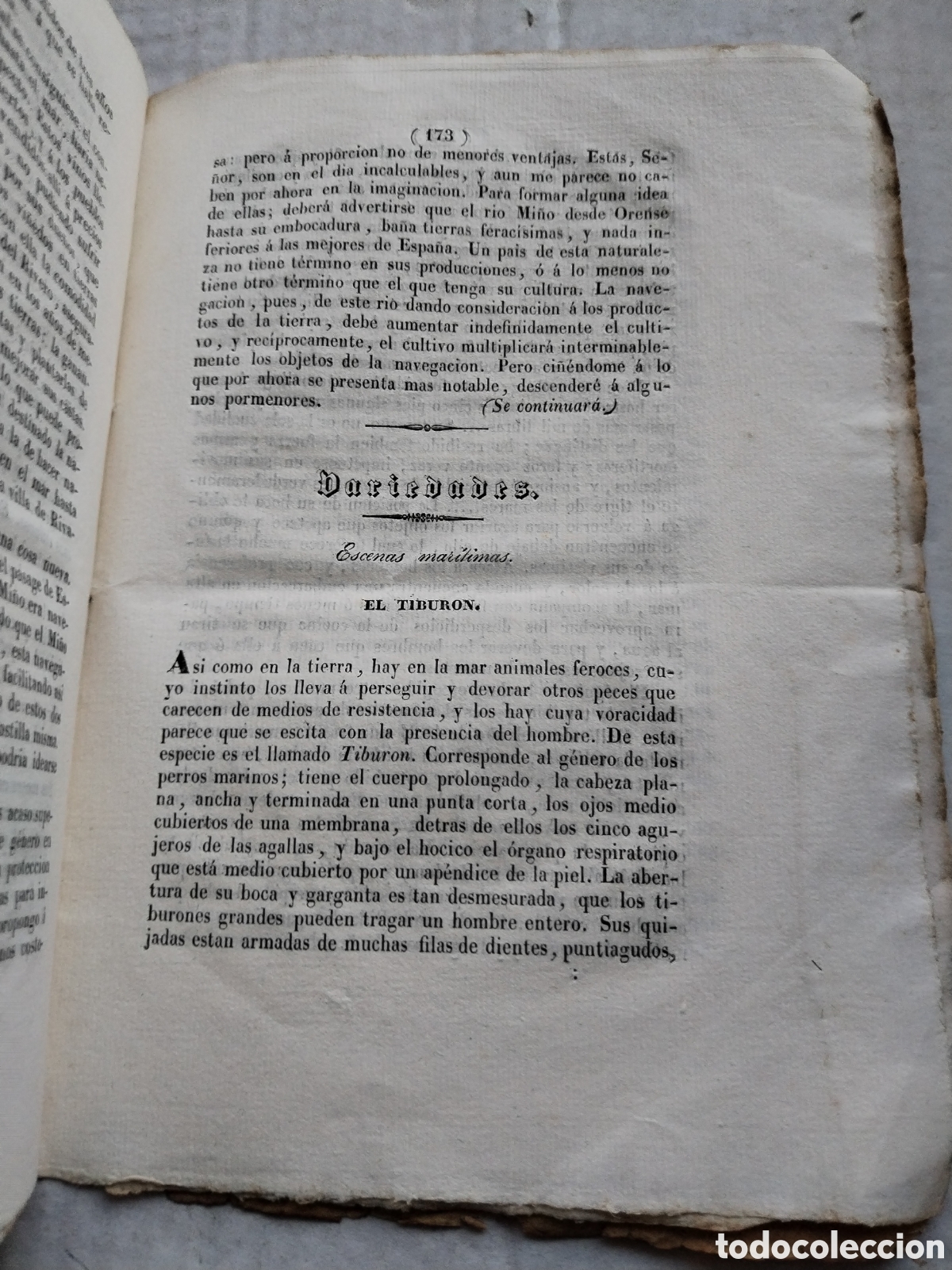 Libros antiguos: LA ESPA&Ntilde;A MAR&Iacute;TIMA 1839 - Foto 4