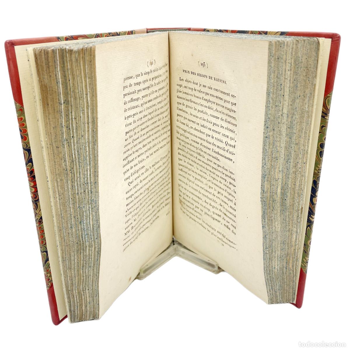 Libros antiguos: A. PARMENTIER - ELABORACI&Oacute;N SIROPES Y CONSERVAS DE UVAS - 1810 - Foto 4