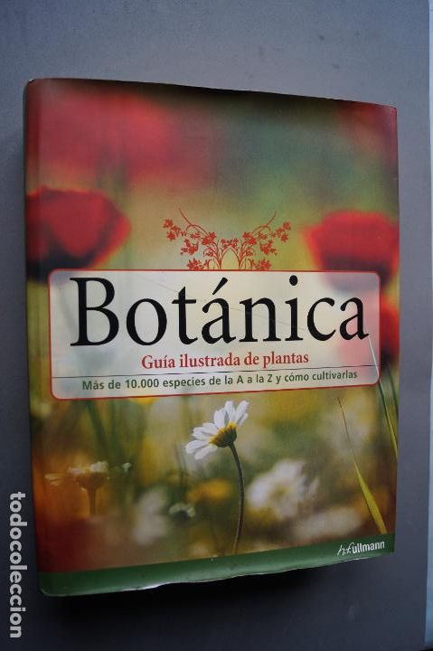 Libros antiguos: BOTANICA. GUIA ILUSTRADA DE LAS PLANTAS. VV.AA - Foto 1