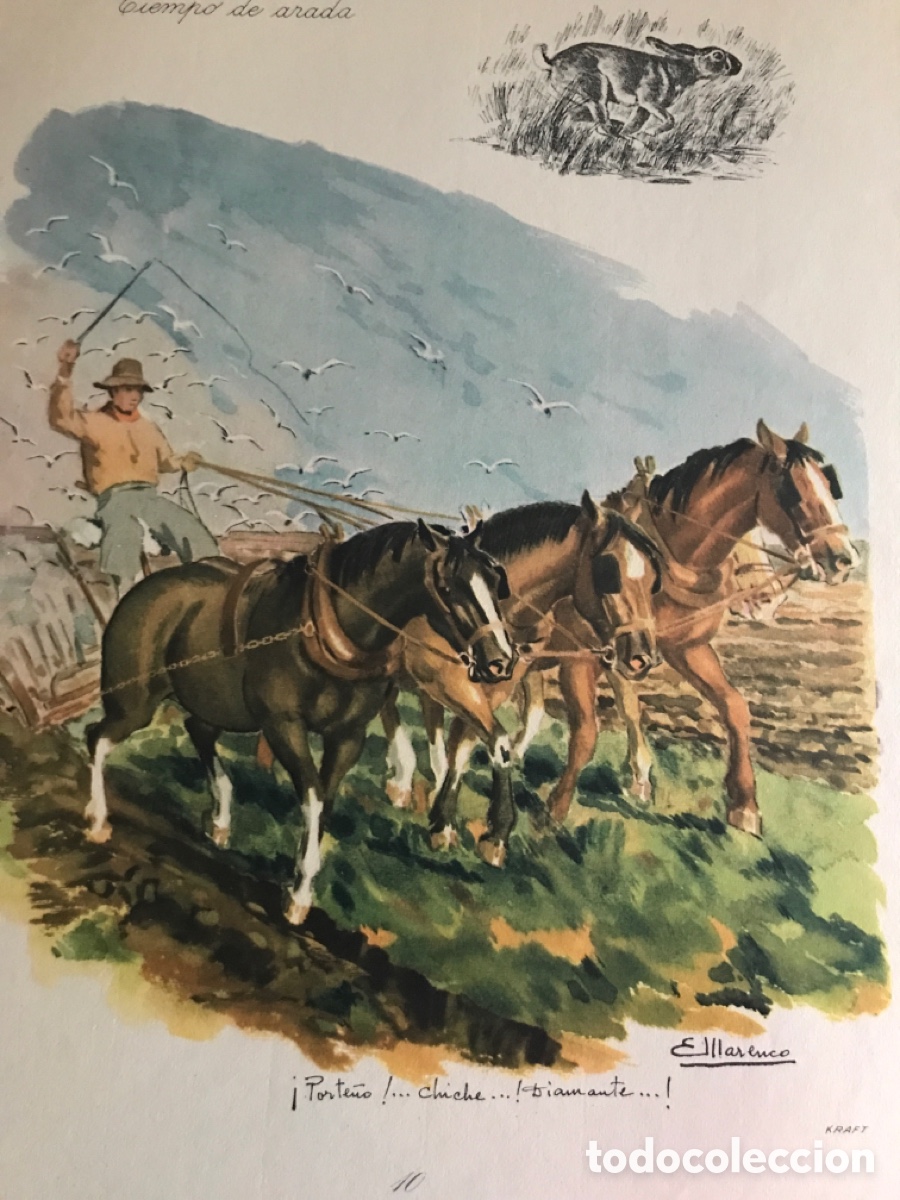 Libros antiguos: NUESTRO CAMPO ARGENTINA - Foto 5