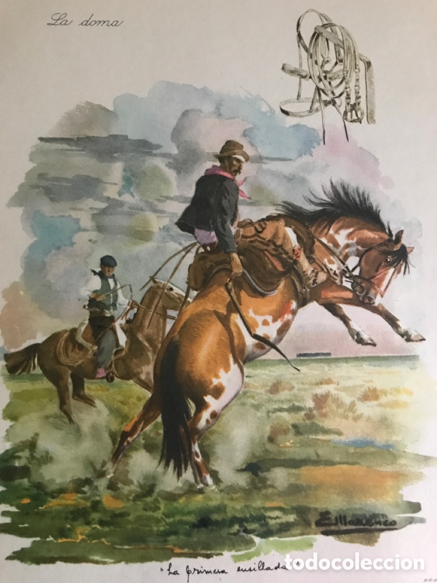 Libros antiguos: NUESTRO CAMPO ARGENTINA - Foto 7