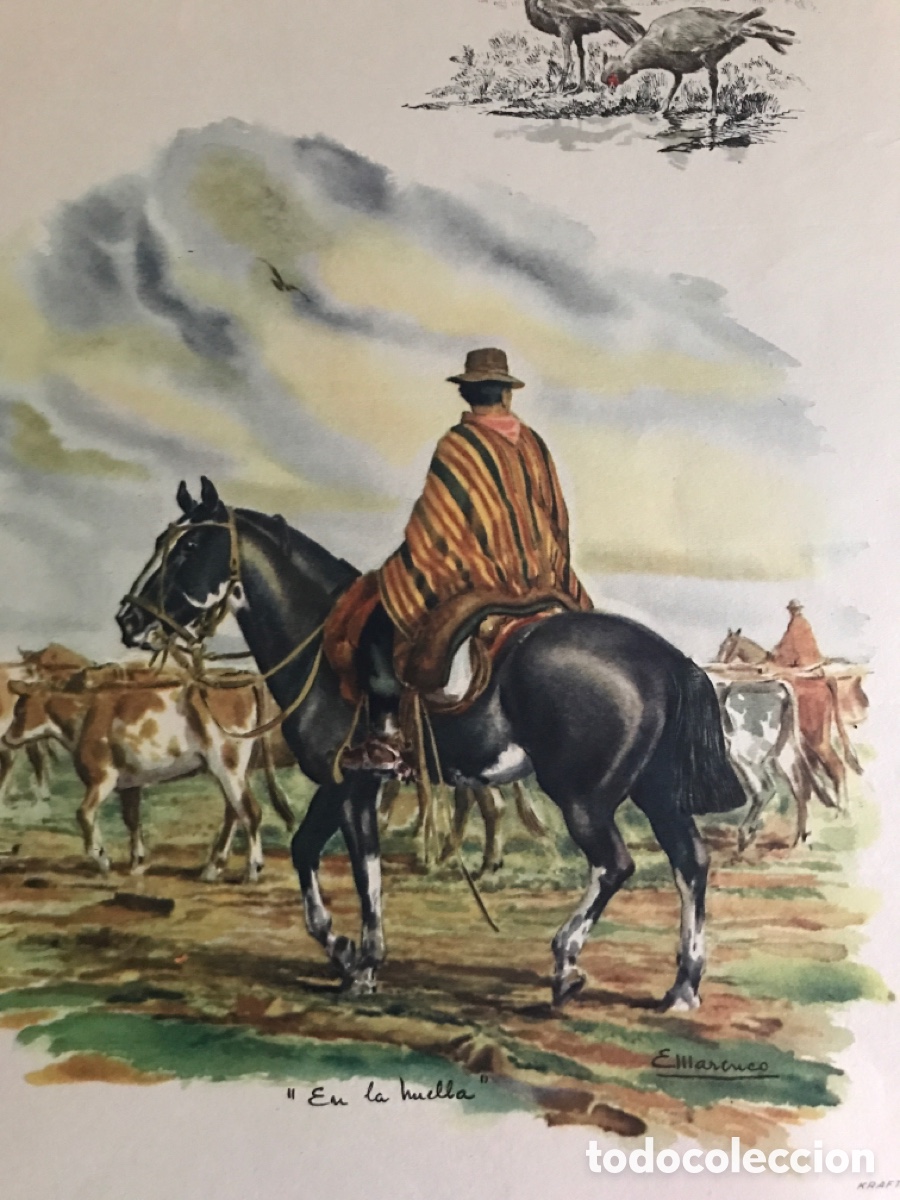 Libros antiguos: NUESTRO CAMPO ARGENTINA - Foto 8