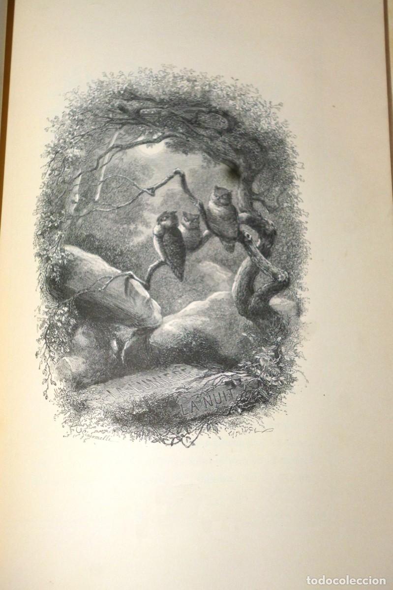 Libros antiguos: J. MICHELET - L&acute;OISEAU - Foto 3