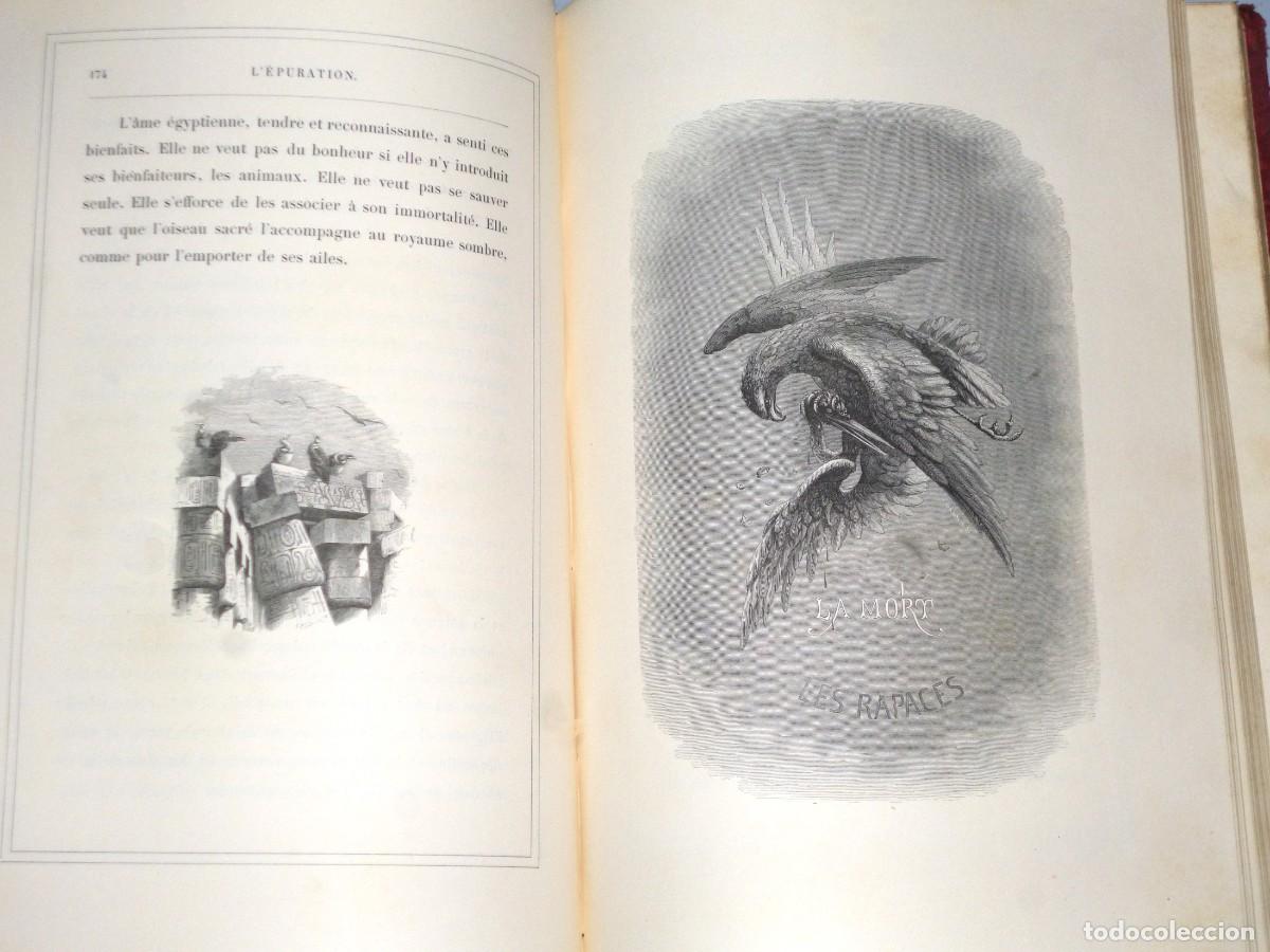 Libros antiguos: J. MICHELET - L&acute;OISEAU - Foto 4