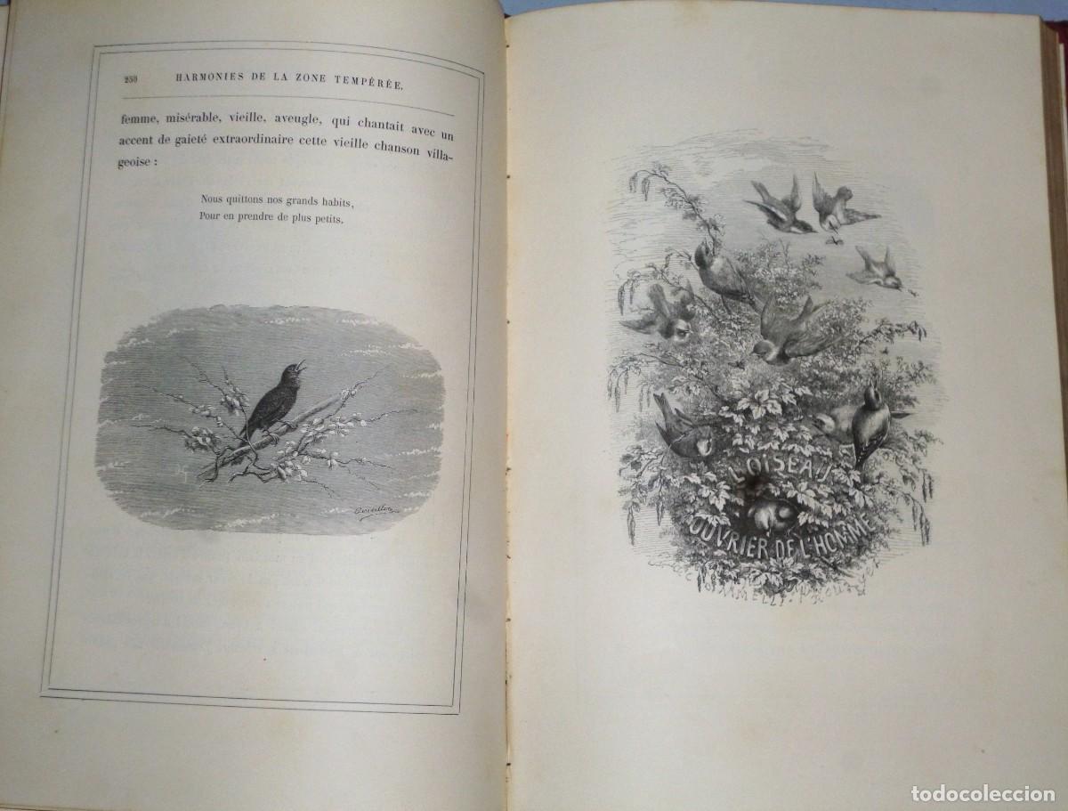 Libros antiguos: J. MICHELET - L&acute;OISEAU - Foto 5