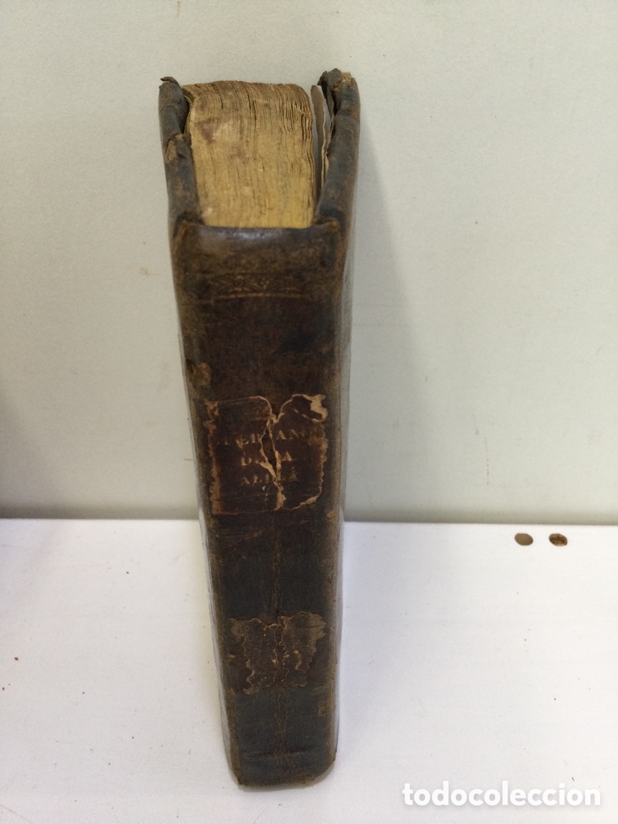 Libros antiguos: Libro &ldquo;Los Hu&eacute;rfanos de la aldea&rdquo; - Foto 1