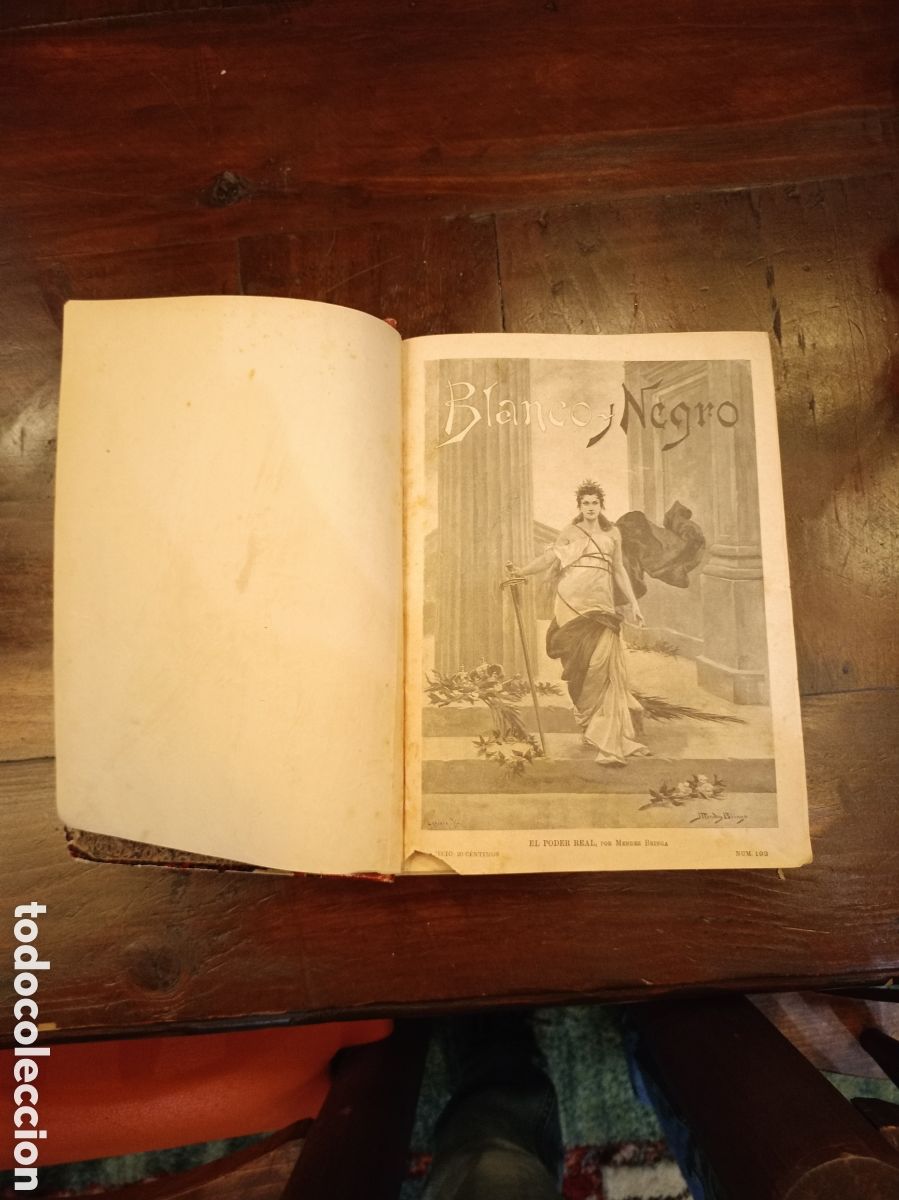 Libros antiguos: Blanco y negro 1895 - Foto 3