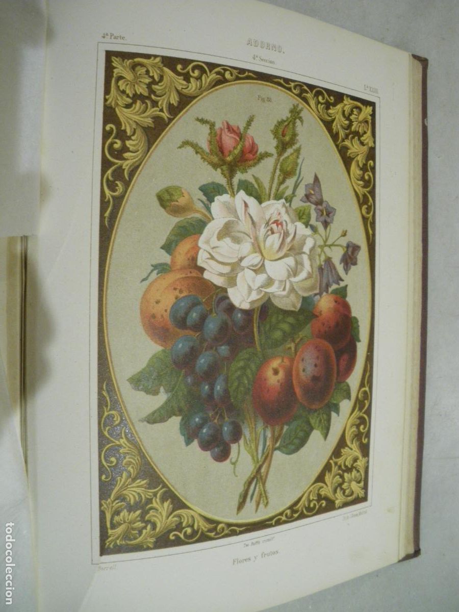 Libros antiguos: TRATADO DE DIBUJO. M. BORRELL. 1879. GRAN FORMATO - Foto 8