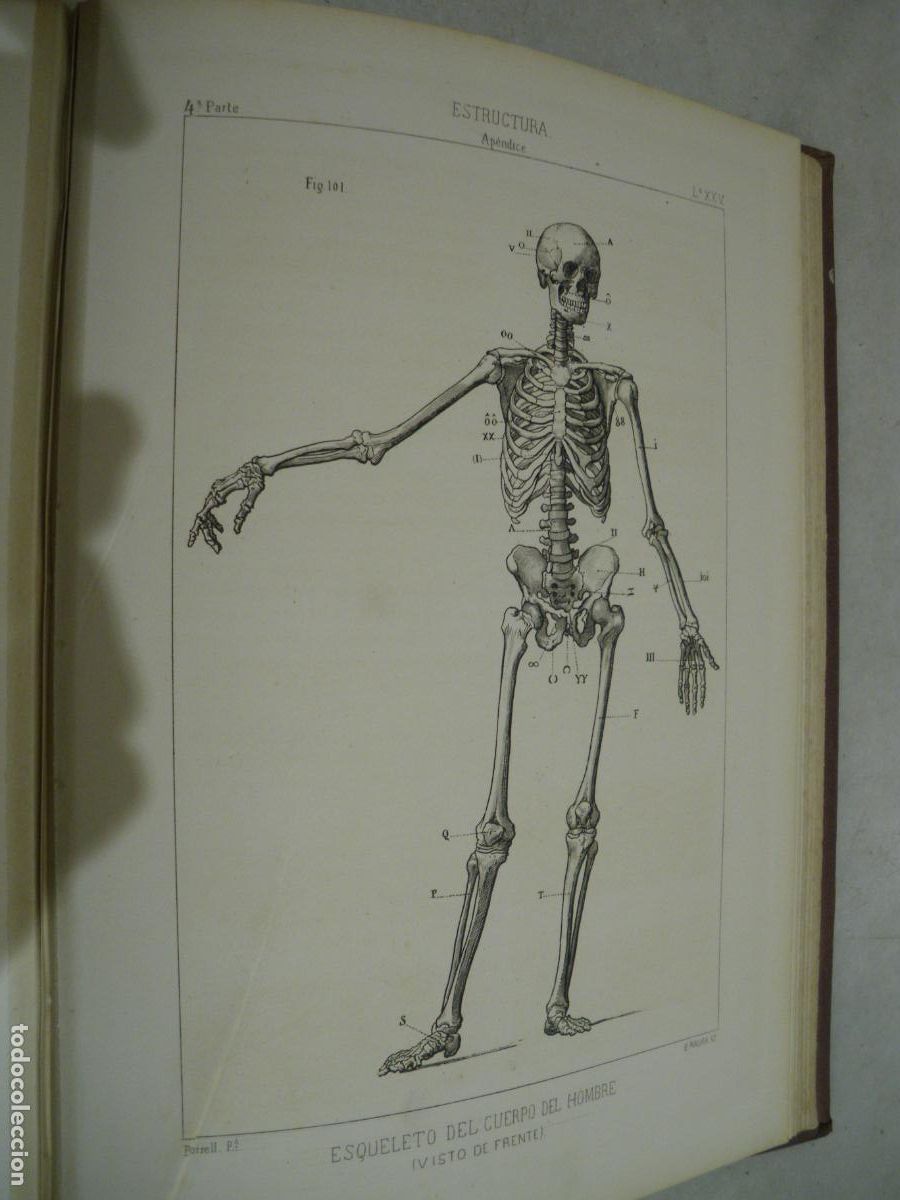 Libros antiguos: TRATADO DE DIBUJO. M. BORRELL. 1879. GRAN FORMATO - Foto 9