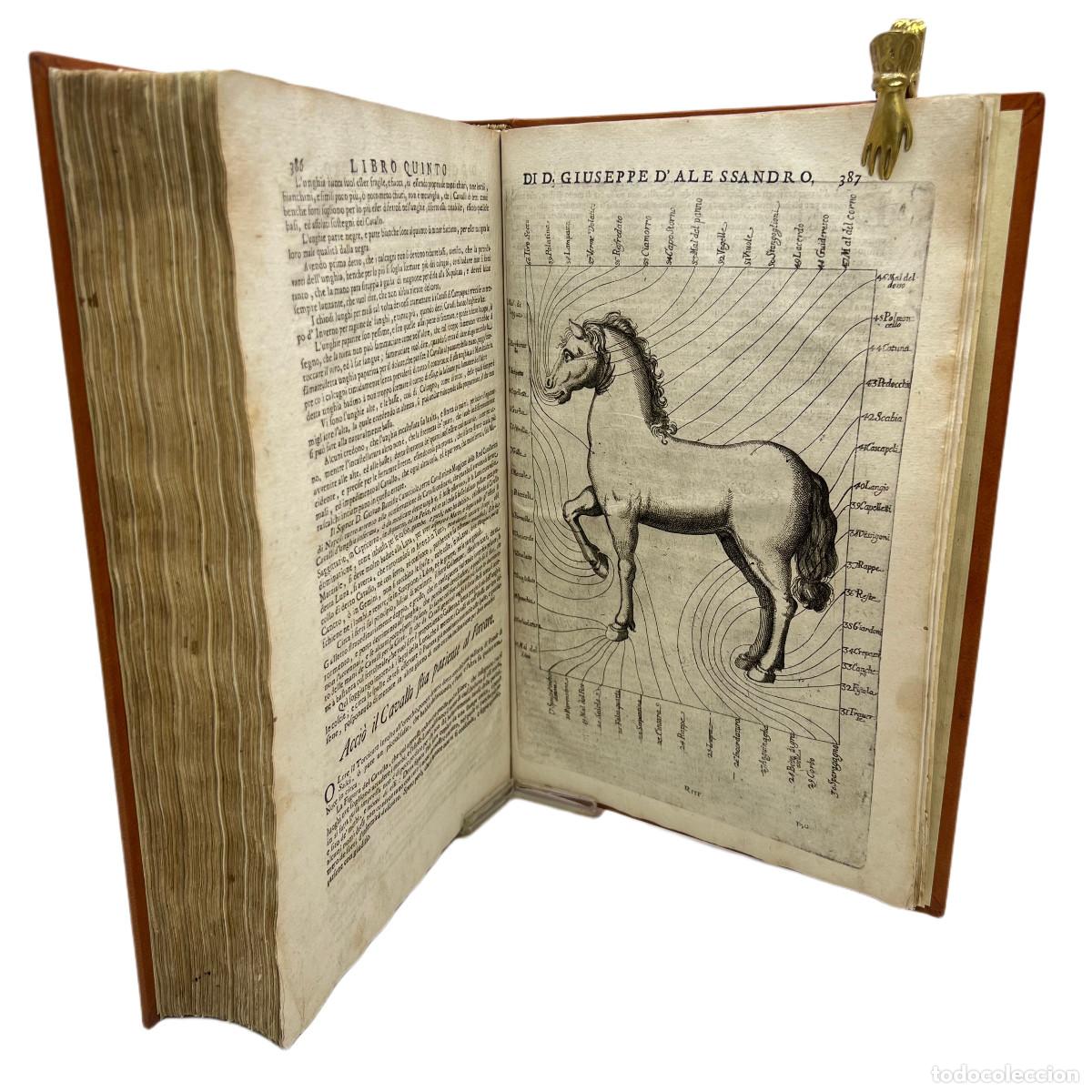 Libros antiguos: GIUSEPPE DALESSANDRO - PIETRA PARAGONE DE CAVALIERI (1&ordf; EDICI&Oacute;N) - 1711 - Foto 8