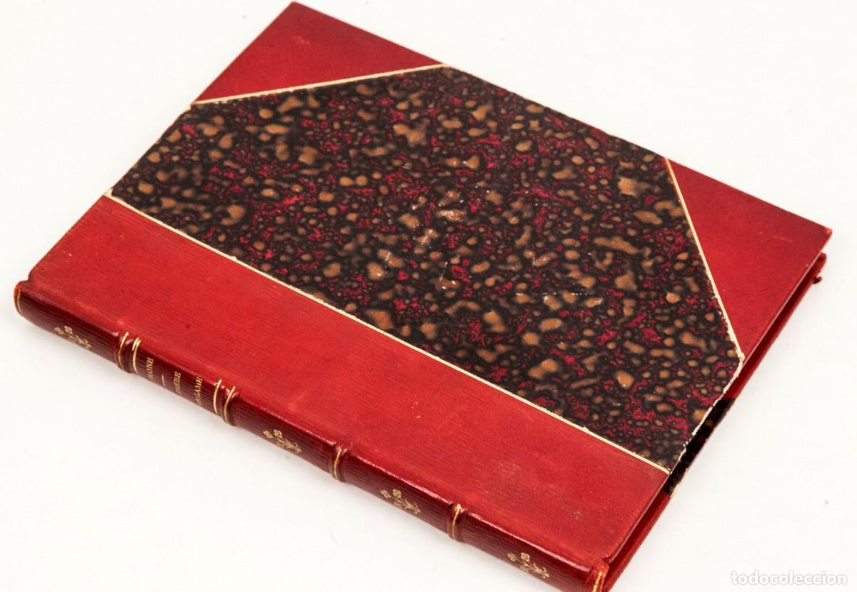 Libros antiguos: PETRONE - L&Eacute;PH&Egrave;BE DE PERGAME - 100 EJEMPLARES NUMERADOS EN PAPEL DE HILO - Foto 2