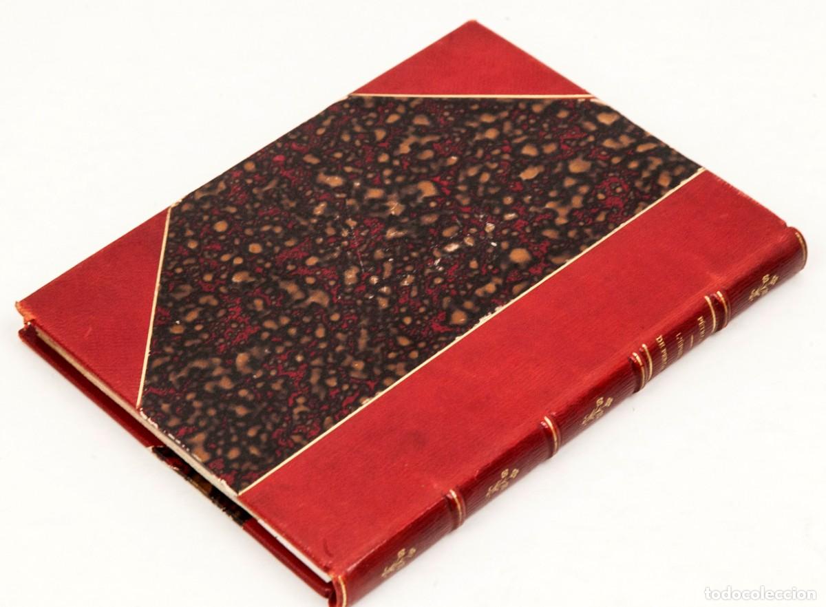 Libros antiguos: PETRONE - L&Eacute;PH&Egrave;BE DE PERGAME - 100 EJEMPLARES NUMERADOS EN PAPEL DE HILO - Foto 6