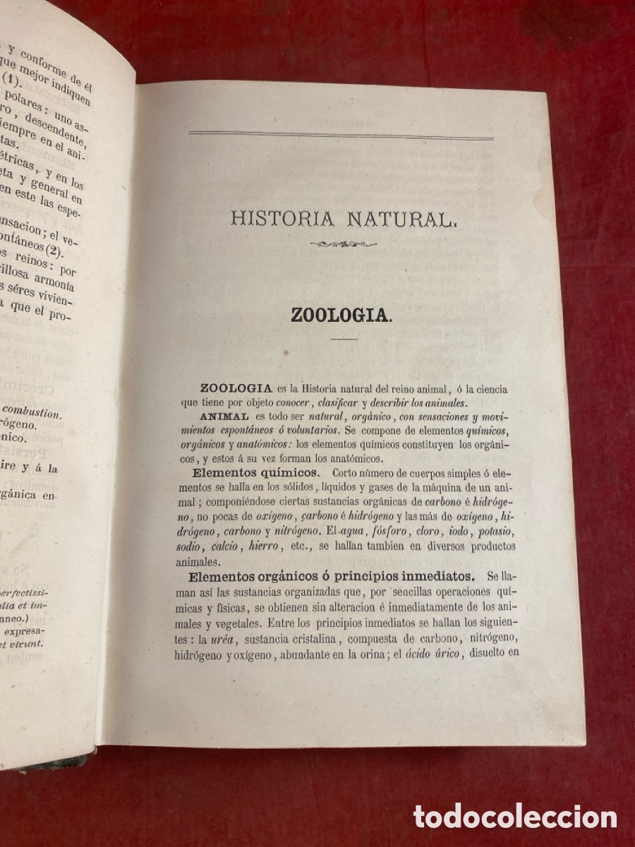 Libros antiguos: PROGRAMA RAZONADO DE UN CURSO DE HISTORIA NATURAL 1873 - Foto 3