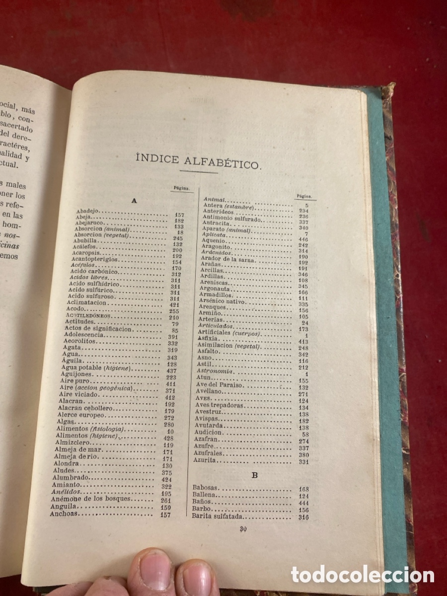 Libros antiguos: PROGRAMA RAZONADO DE UN CURSO DE HISTORIA NATURAL 1873 - Foto 4