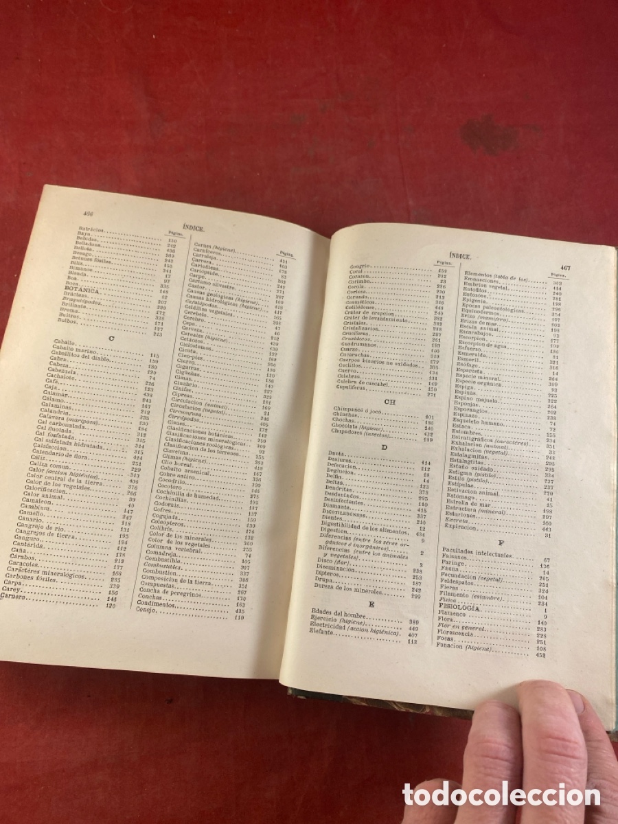 Libros antiguos: PROGRAMA RAZONADO DE UN CURSO DE HISTORIA NATURAL 1873 - Foto 5