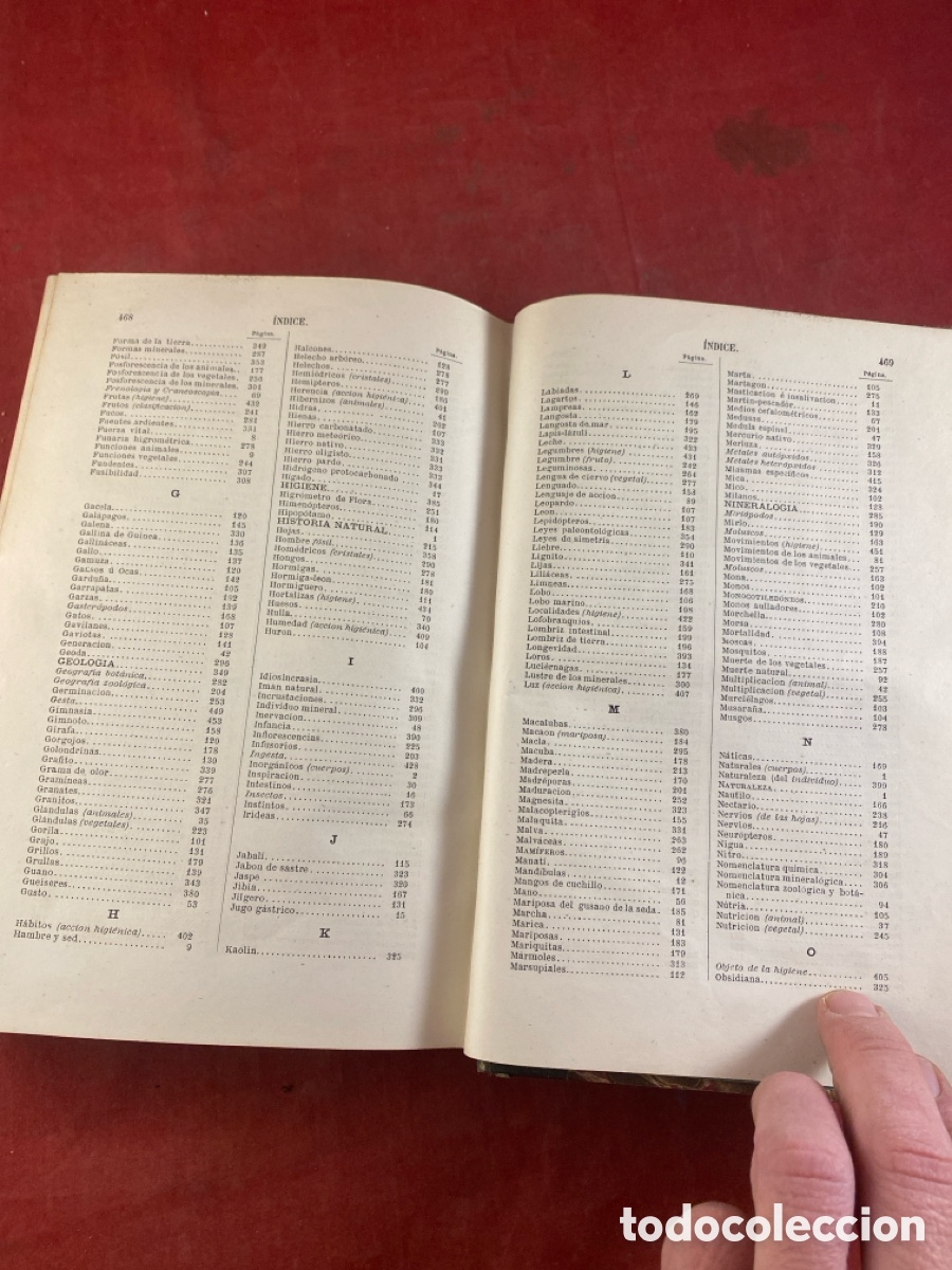 Libros antiguos: PROGRAMA RAZONADO DE UN CURSO DE HISTORIA NATURAL 1873 - Foto 6