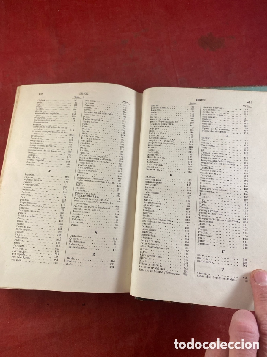 Libros antiguos: PROGRAMA RAZONADO DE UN CURSO DE HISTORIA NATURAL 1873 - Foto 7