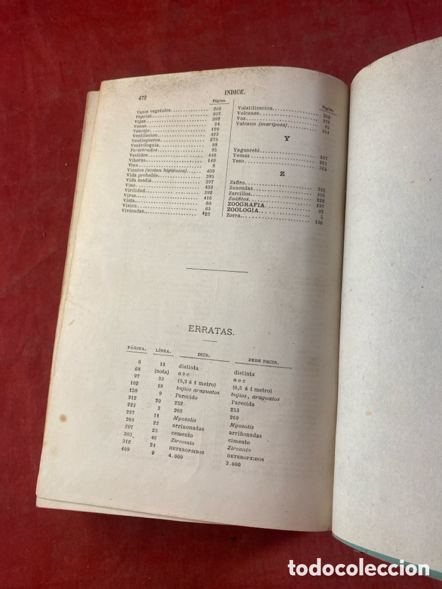 Libros antiguos: PROGRAMA RAZONADO DE UN CURSO DE HISTORIA NATURAL 1873 - Foto 8