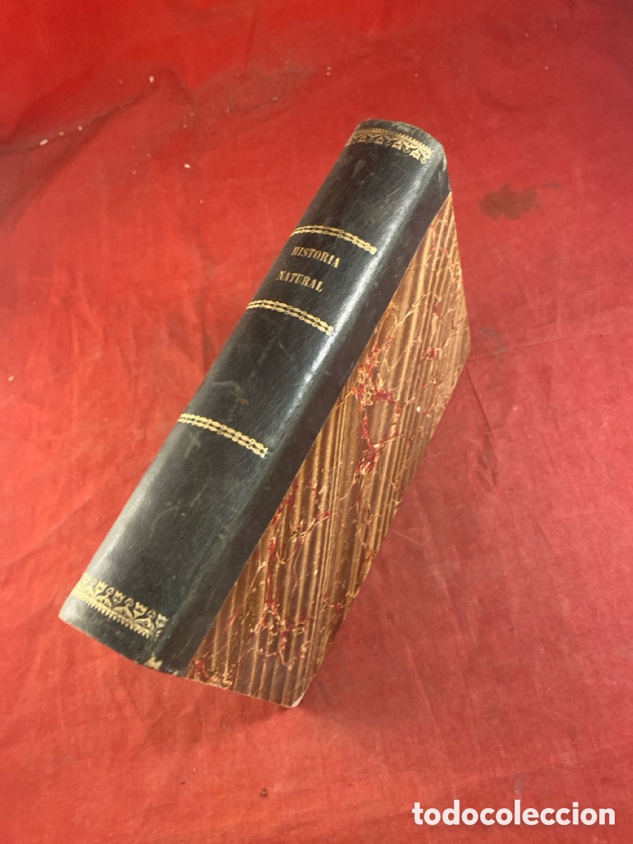 Libros antiguos: PROGRAMA RAZONADO DE UN CURSO DE HISTORIA NATURAL 1873 - Foto 9