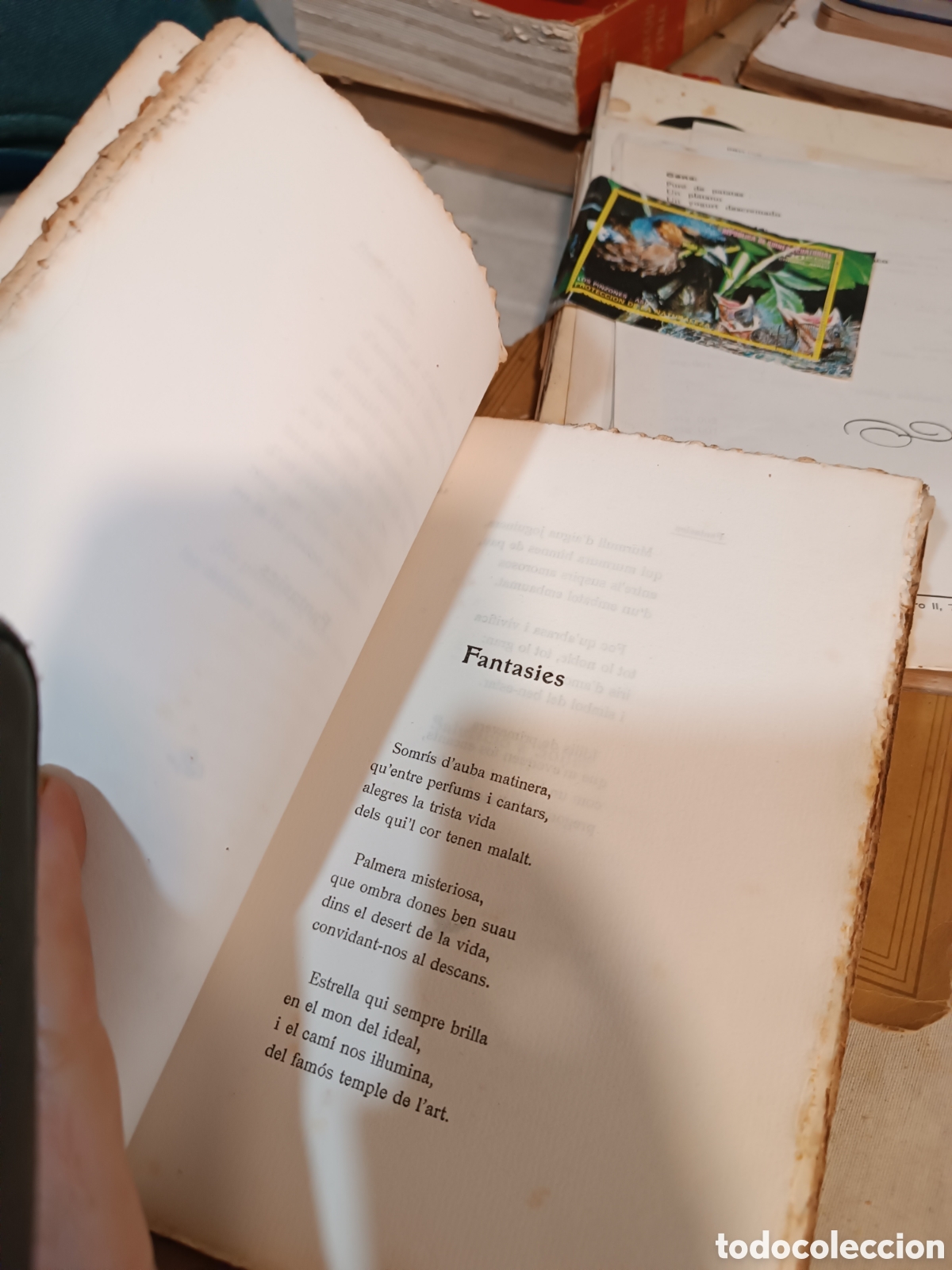 Libros antiguos: Flors de tardor - Foto 3