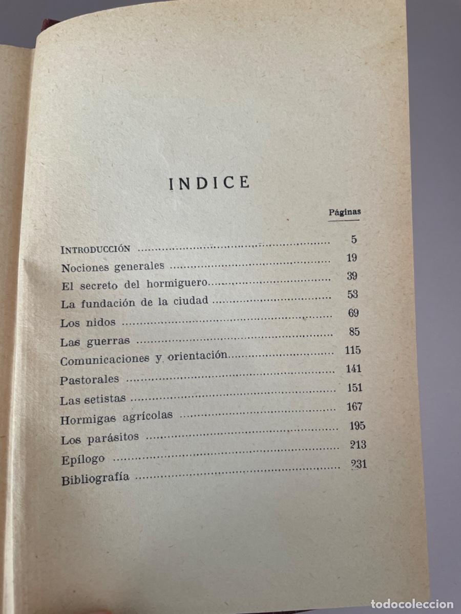Libros antiguos: LA VIDA DE LAS HORMIGAS, DE MAURICIO MAETERLINK - Foto 3
