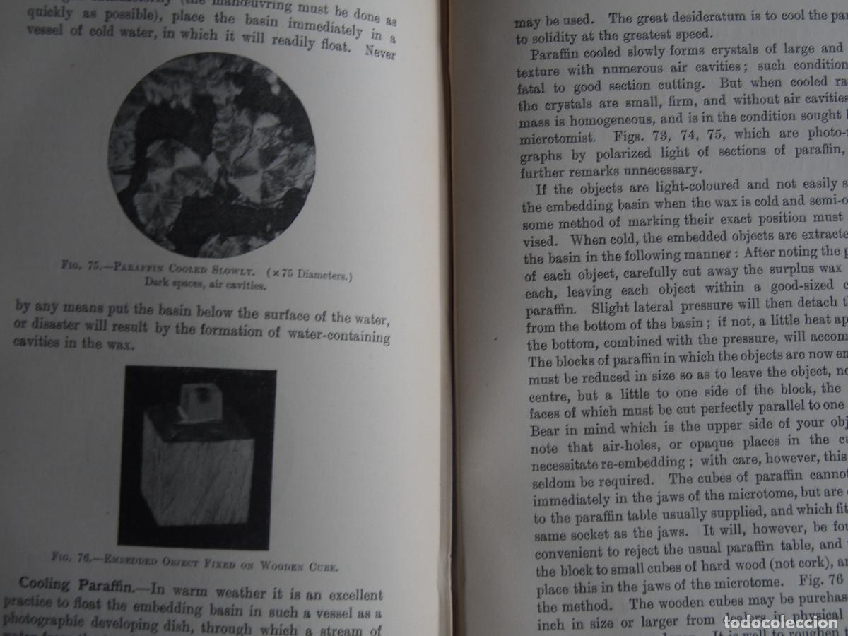 Libros antiguos: Modern Microscopy - A Handbook for Beginners and Students - Cross & Cole - 1903 - Foto 17