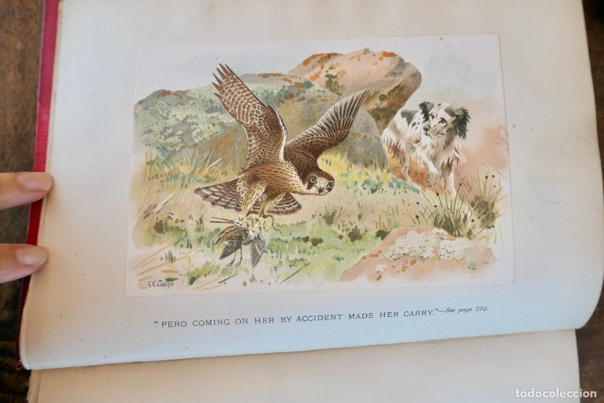 Libros antiguos: A SPORTING TOUR . COLONEL T. THORNTON EDWARD ARNOLD 1897 - Foto 2