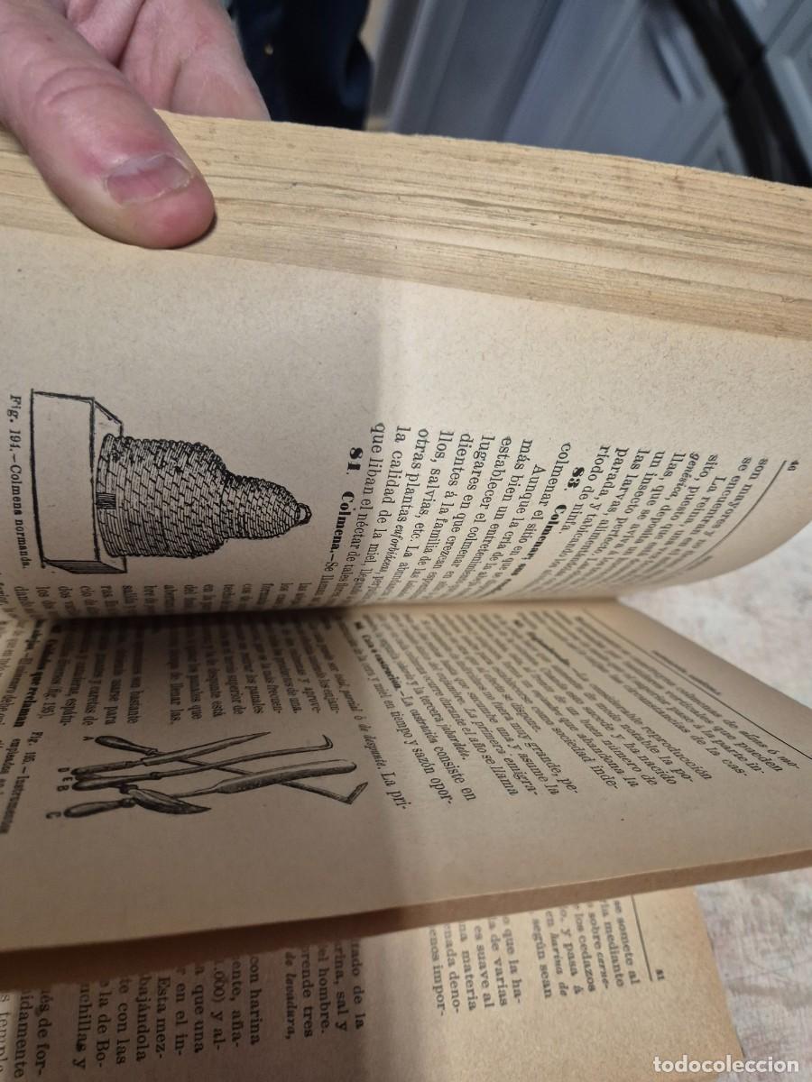Libros antiguos: Elementos de agricultura 1901 - Foto 10