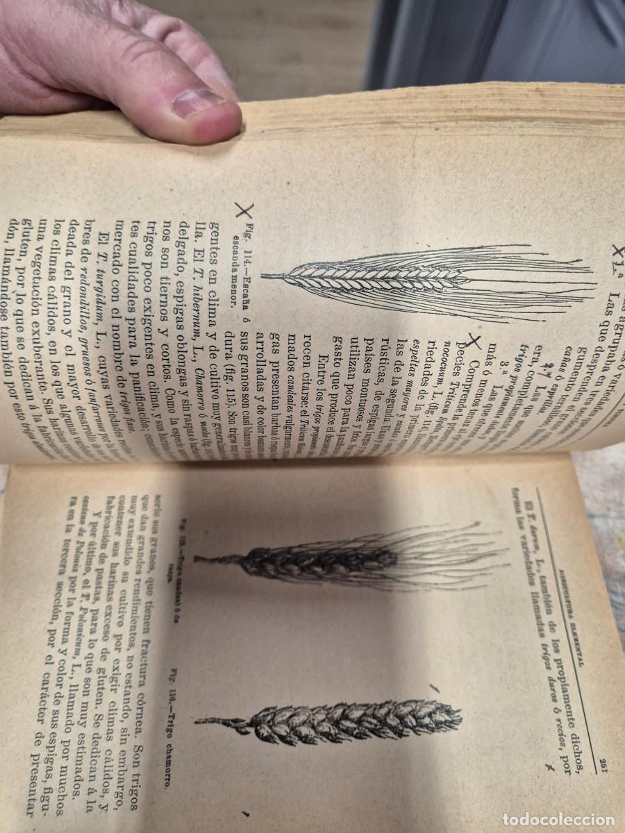 Libros antiguos: Elementos de agricultura 1901 - Foto 13