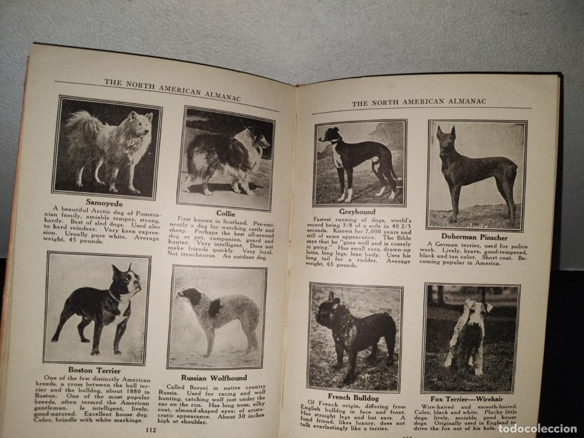 Libros antiguos: 98- THE NORTH AMERICAN ALMANAC 1925 - Foto 8
