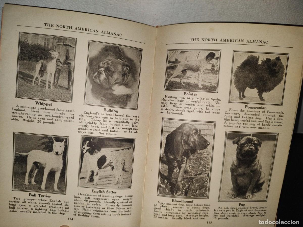 Libros antiguos: 98- THE NORTH AMERICAN ALMANAC 1925 - Foto 9