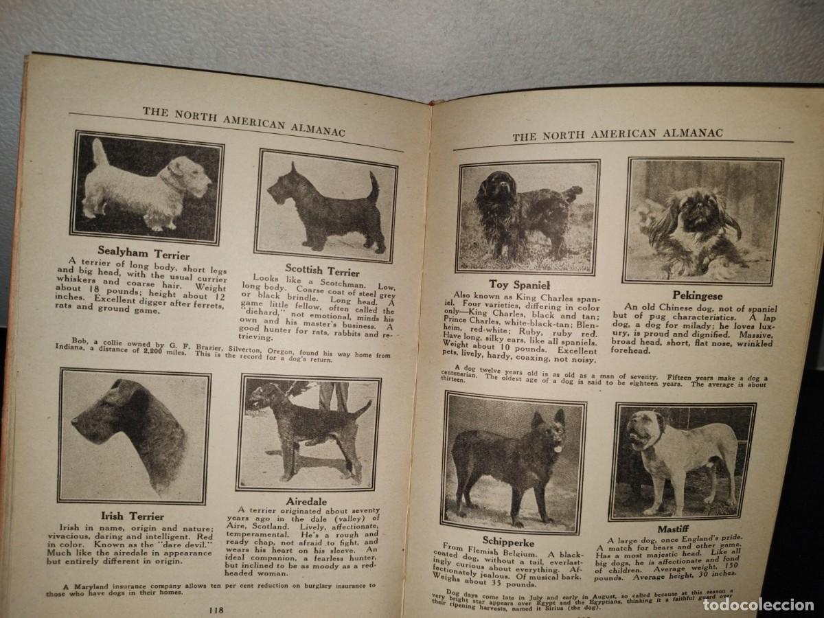Libros antiguos: 98- THE NORTH AMERICAN ALMANAC 1925 - Foto 10