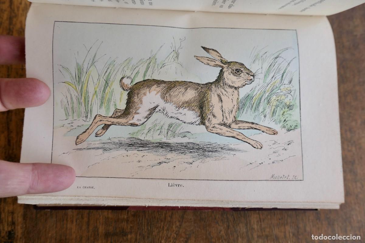 Libros antiguos: CHASSE A TIR - LOUIS BOUSSENARD - Foto 5