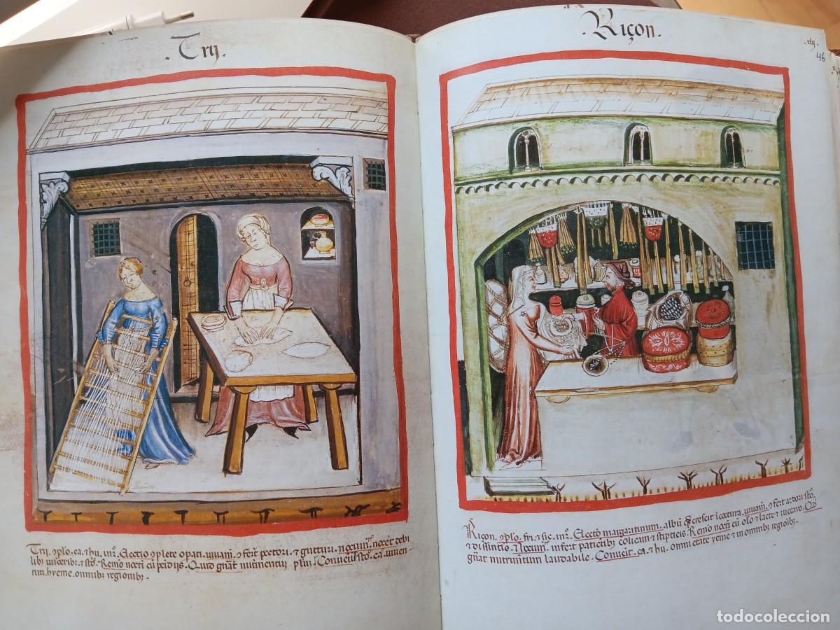 Libros antiguos: FACSIMIL CODICE CERRUTI - Foto 3