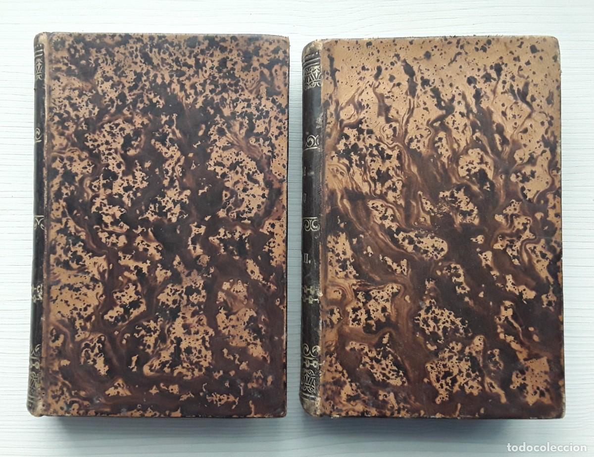 Libros antiguos: ANGE PITOU PAR ALEXANDRE DUMAS. DOS TOMOS. EN FRANC&Eacute;S. 1875 - Foto 1