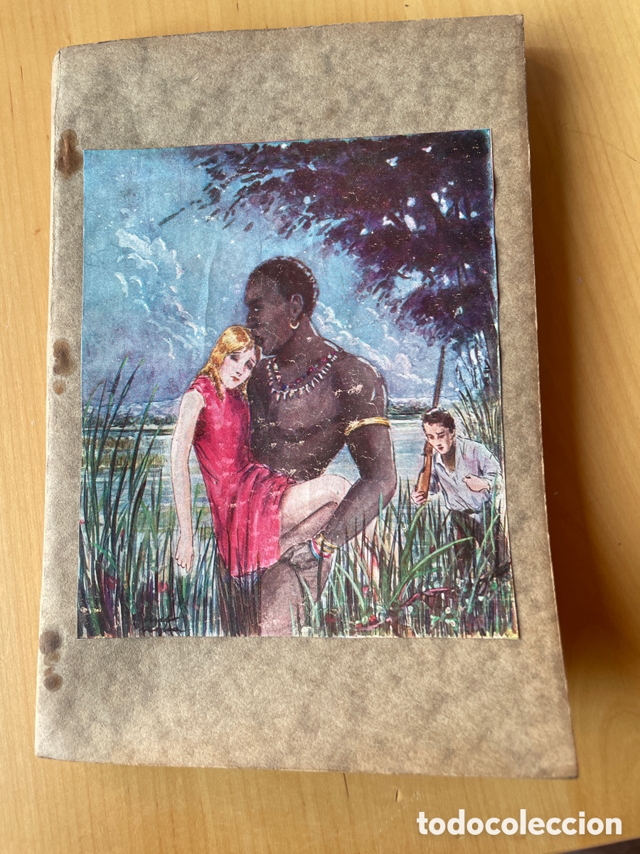 Libros antiguos: A trav&eacute;s de la estepa. Henry Sienkiewicz - Foto 1